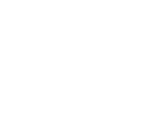 SDI Logo